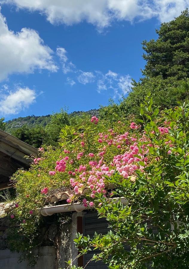 Les Merisiers B&B - Thorenc Andon Екстериор снимка